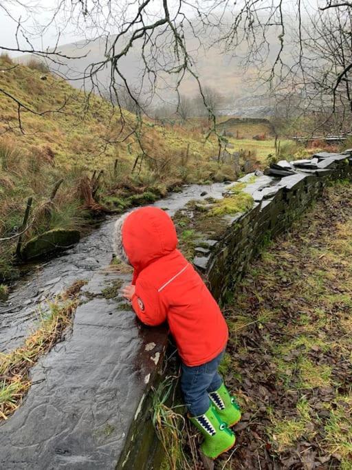 Yr Hen Siop - 4 Bed Welsh Cottage In Snowdonia Penmachno 외부 사진